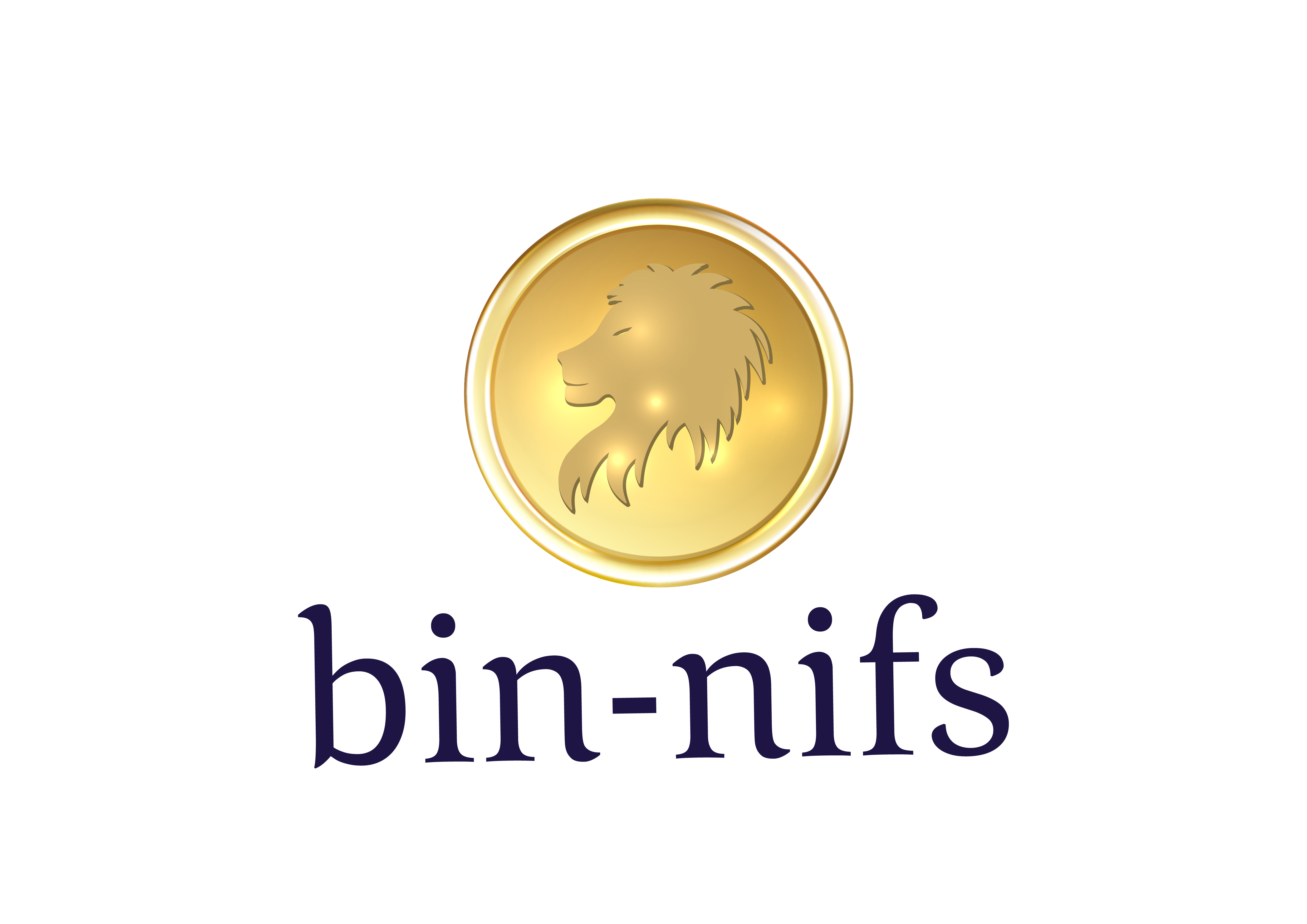 Bin-nifs Logo final-02